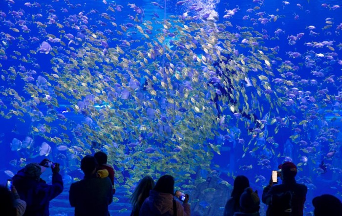 昆明融创文旅城当选2019年度去哪儿网最具潜力旅游景区