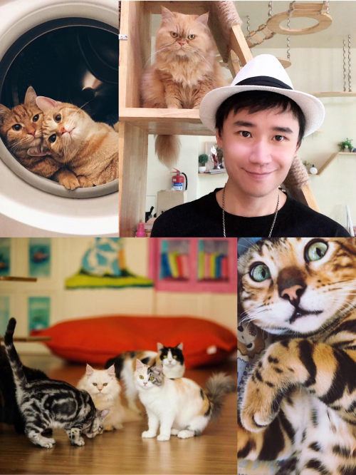 演员张佳荣游普吉岛意外发现 猫舍酒店Cat story hotel
