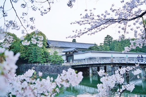 【日本】东京探店：各种美貌的樱花限定！