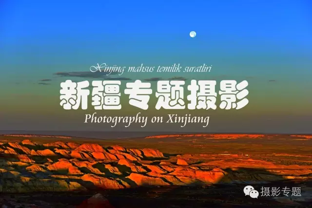 和田奇景——九头柳