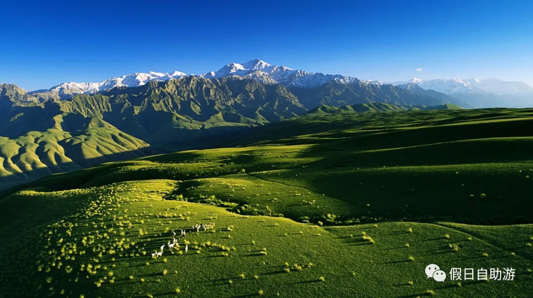 请收好这份来自新疆和田的自驾旅游攻略
