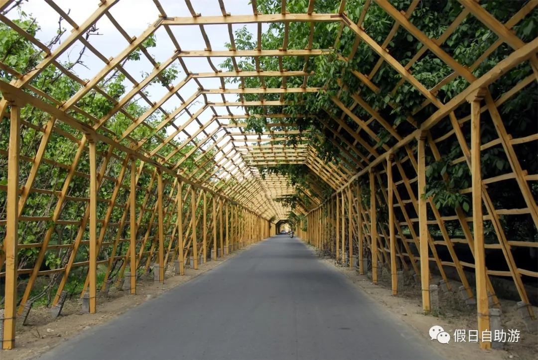 请收好这份来自新疆和田的自驾旅游攻略