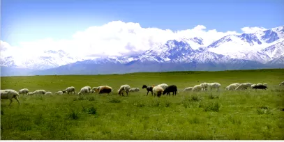 速看！五一期间，和田最火旅游路线出炉！