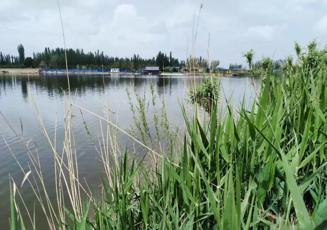 速看！五一期间，和田最火旅游路线出炉！