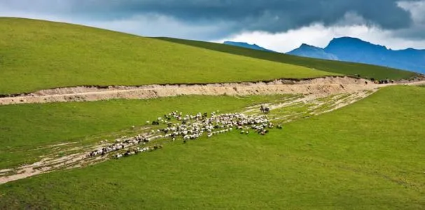 速看！五一期间，和田最火旅游路线出炉！