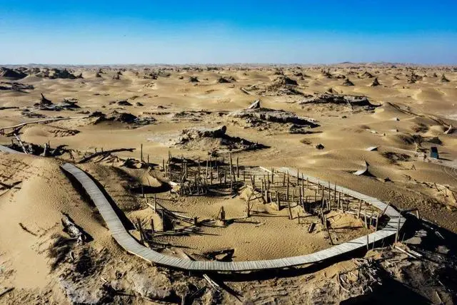 新疆尼雅遗址：千年来，被塔克拉玛干风沙掩埋的“精绝古国”