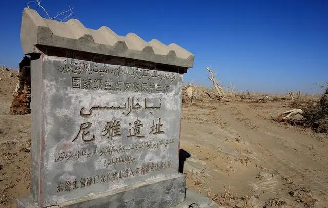 新疆尼雅遗址：千年来，被塔克拉玛干风沙掩埋的“精绝古国”