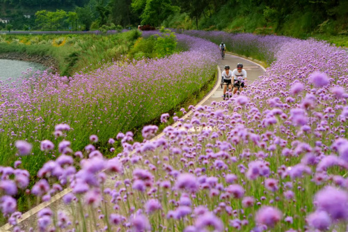 联合国官员赶来打卡 马云亲自带货 千岛湖旅游看心情上热搜
