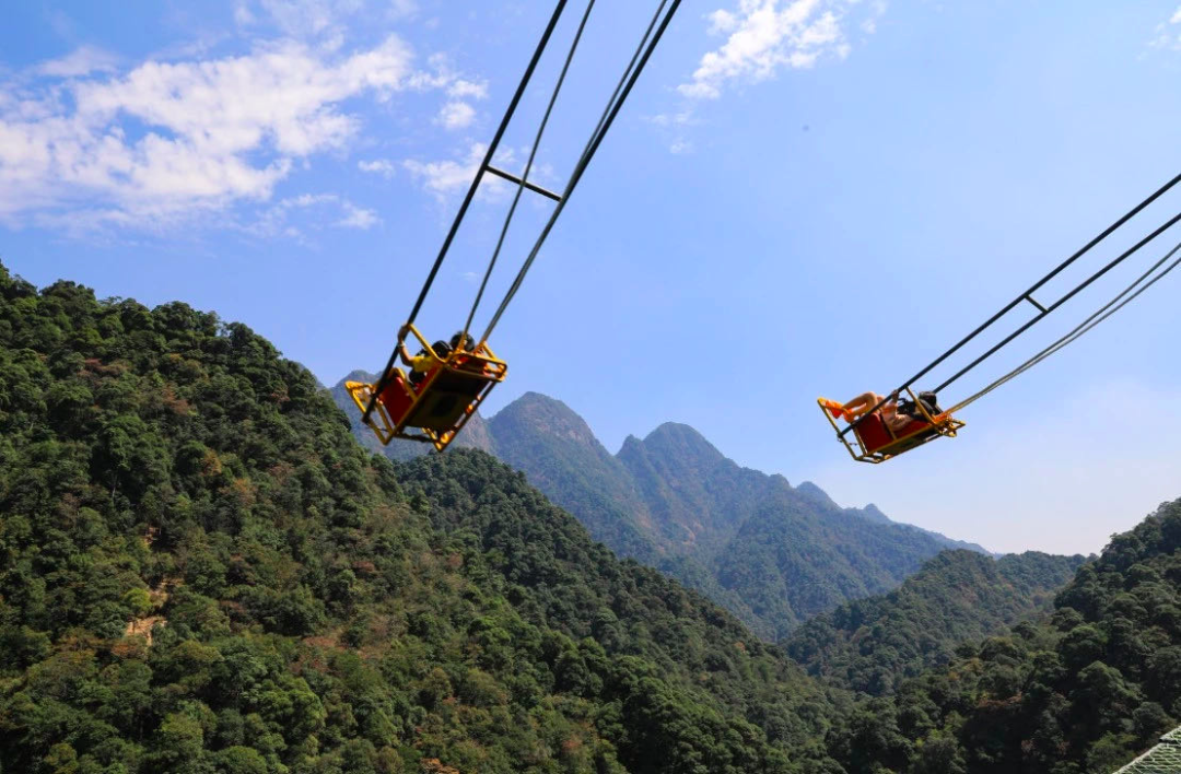 花间直播醉浪漫丨2020三清山“高山杜鹃赏花月”活动火爆开启