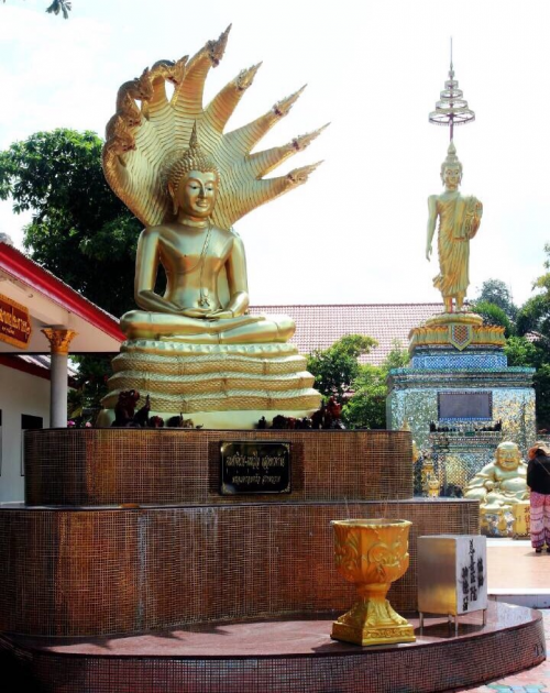 红蚁旅游怎么样 红蚁旅游泰国6天5晚体验