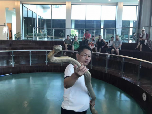 红蚁旅游怎么样 红蚁旅游泰国6天5晚体验