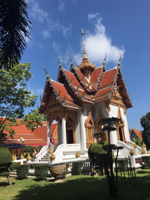 红蚁旅游怎么样 红蚁旅游泰国6天5晚体验