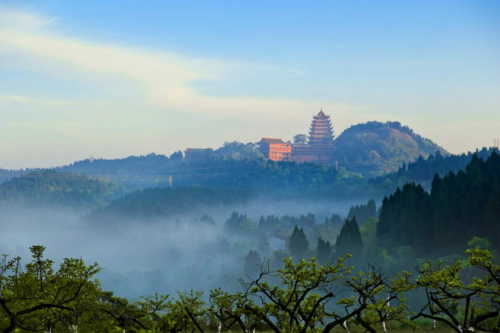 遂宁2020年“宋瓷杯”全市导游（讲解员）大赛即将开赛——在诗和远方中遨游