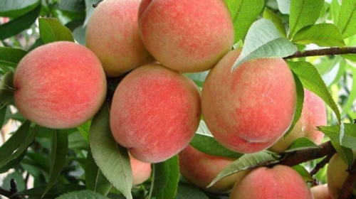 古夜郎漂流6月12日正式开漂！全国援鄂抗疫一线医护人员全年免票！