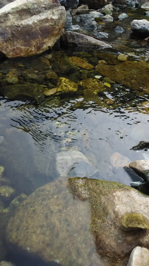 静水仙居农家院邀您农家避暑凉游兴隆天子山风景区