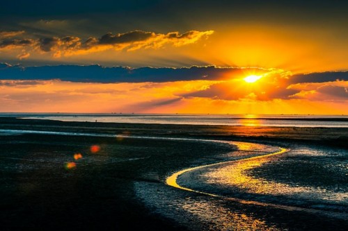 2021中国休闲度假大会即将开幕，精彩内容抢先看