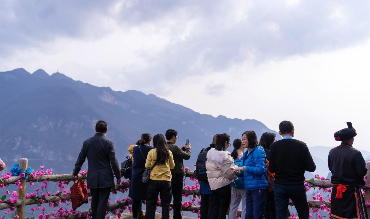 绵阳九皇山花溪景正式开园!花样活动异彩纷呈,静待辛夷花开!