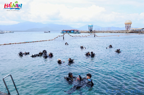 “酷游海南 •‘媒’好相约” 2025百家媒体海南（陵水）旅游推介活动启幕